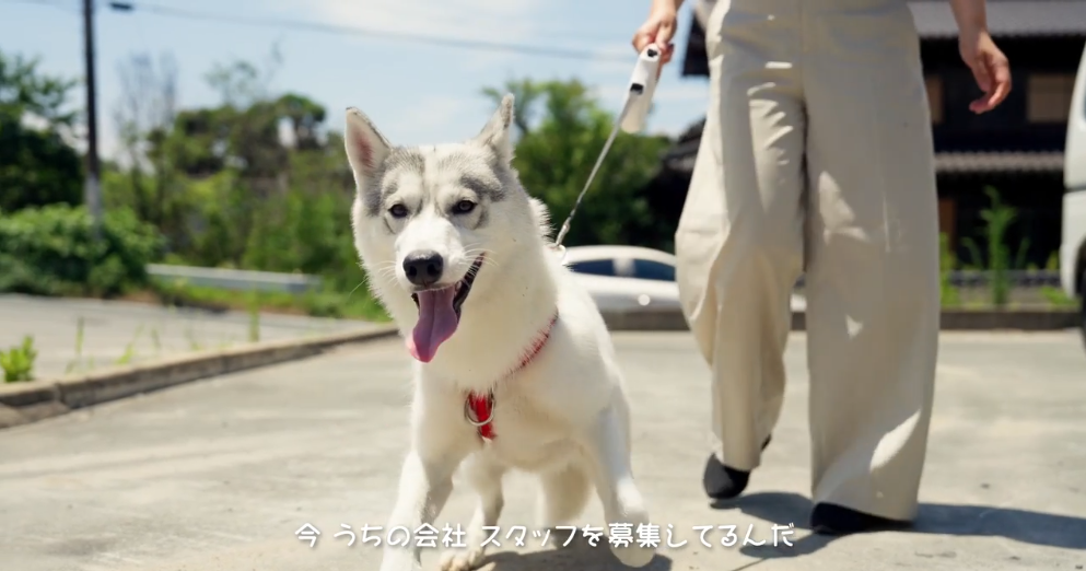 会社PR動画を配信しました！